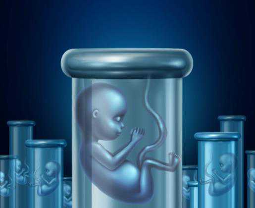 广州试管代生机构包男孩,胚胎等级怎么划分 在北京做试管婴儿-上海供卵试管中