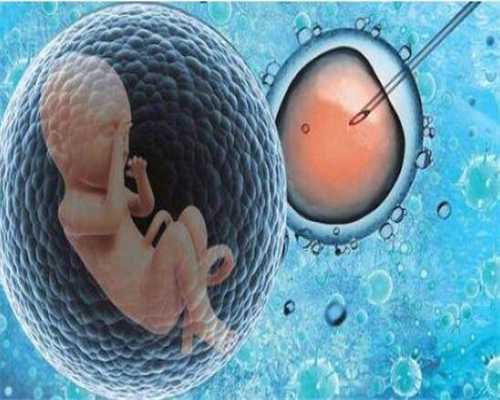 鲜胚移植成功的征兆有哪些？来看看自己是否成功受孕